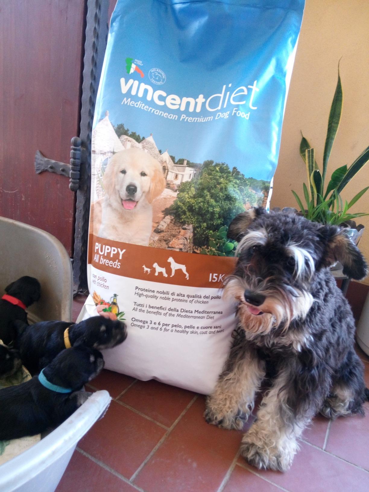 Vincent Diet con pesce azzurro – VINCENTPETFOOD - Main Image